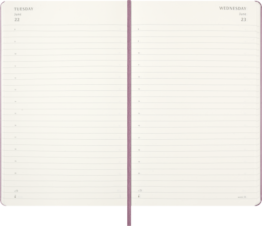 12M DAILY LG HARD MAJESTIC PINK + TEXT