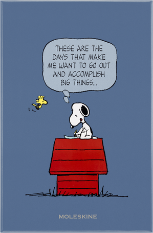 NOTEBOOK SNOOPY RULED L HARD WITH BOX