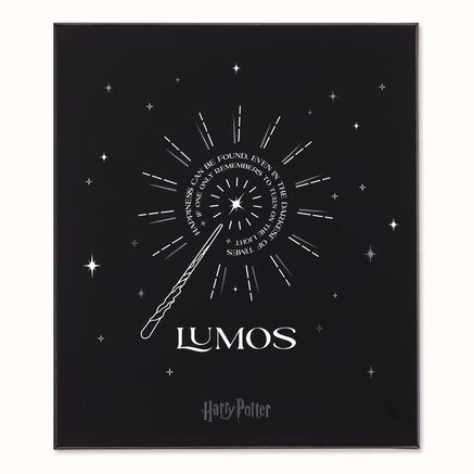 LE HARRY POTTER THEMED BUNDLE BLACK