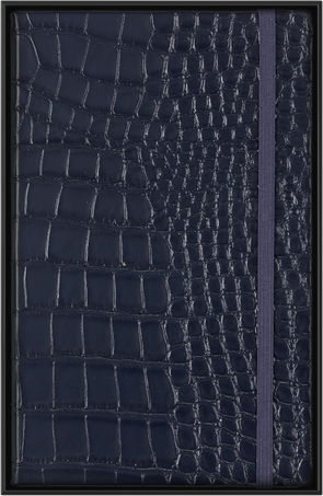 NTBK CROCODILE LG RUL HARD BLUE