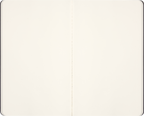 SET OF 2 CAHIERS L PLAIN ABRAMOVICH