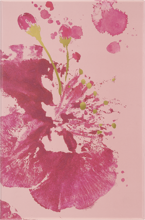 LE NB SAKURA LARGE PLAIN + BOX