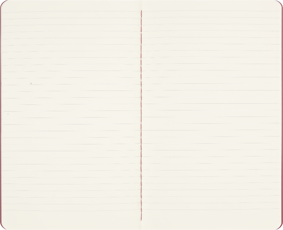 LE PEANUTS CLT.BOX NB DOG+POUCH+ST.NOTES