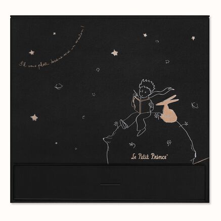 LE PETIT PRINCE PREMIUM BOX L NB+COLLECT