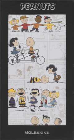 PEANUTS STICKERS SET