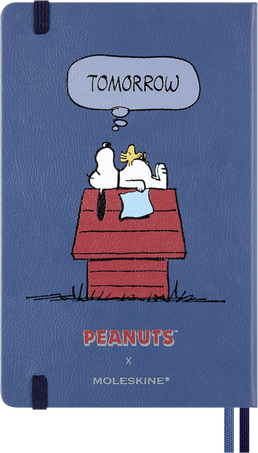 NOTEBOOK SNOOPY RULED L HARD WITH BOX