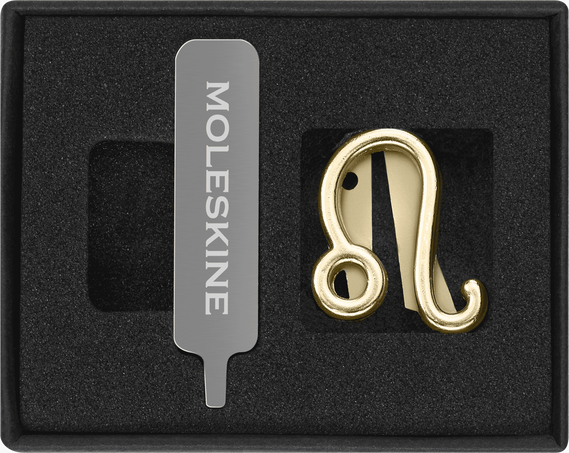 Letters and Symbols PINS LEO GOLD