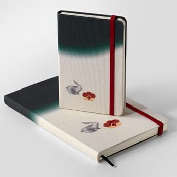 Moleskine Japanese album sketchbook-Pocket In Cill Rialaig.