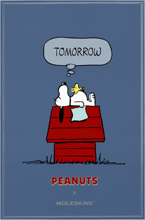 NOTEBOOK SNOOPY RULED L HARD WITH BOX