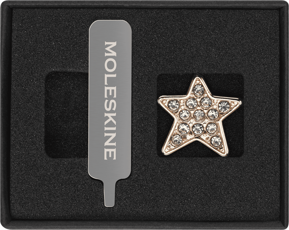 Star Crystal Pin Gold - Front view