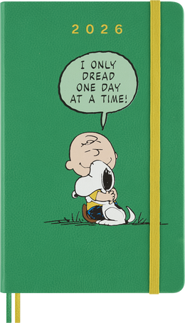 12M PEANUTS DAILY L CHARLIE & SNOOPY