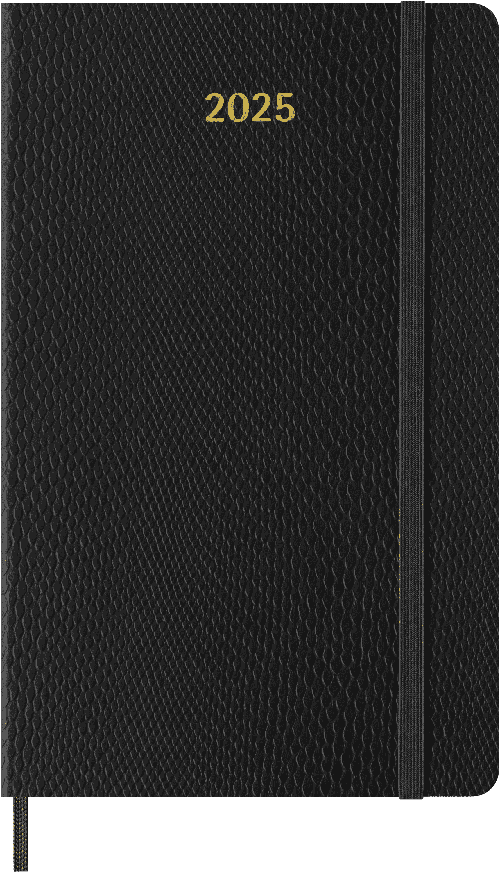 Moleskine Weekly Planner Precious And Ethical, Weekly Calendar With Note Room For 12 Months 2025, Soft Vegan Python Lid, With Gift Box, Green, Large Format 13 X 21 Cm : Moleskine - View #13