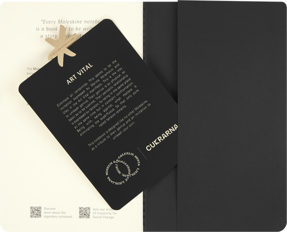 SET OF 2 CAHIERS L PLAIN ABRAMOVICH