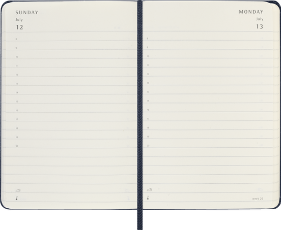 12M DAILY PK SAP.BLUE HARD