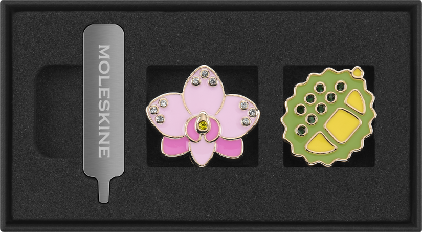 PINS COUNTRY SINGAPORE BOX OF 2