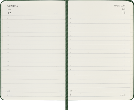 12M DAILY PK MYRTLE GREEN HARD