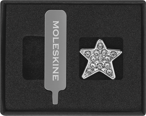 Star Crystal Pin Silver - Front view