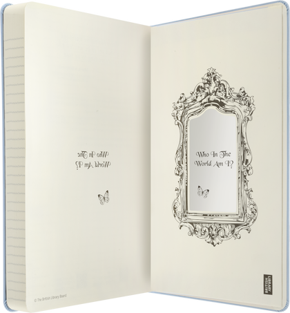 12M ALICE WONDER DAILY LG HARD NO BOX
