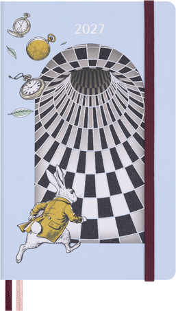 12M ALICE WONDER DAILY LG HARD NO BOX
