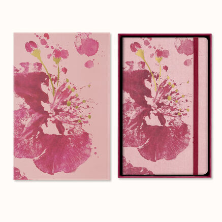 LE NB SAKURA LARGE PLAIN + BOX