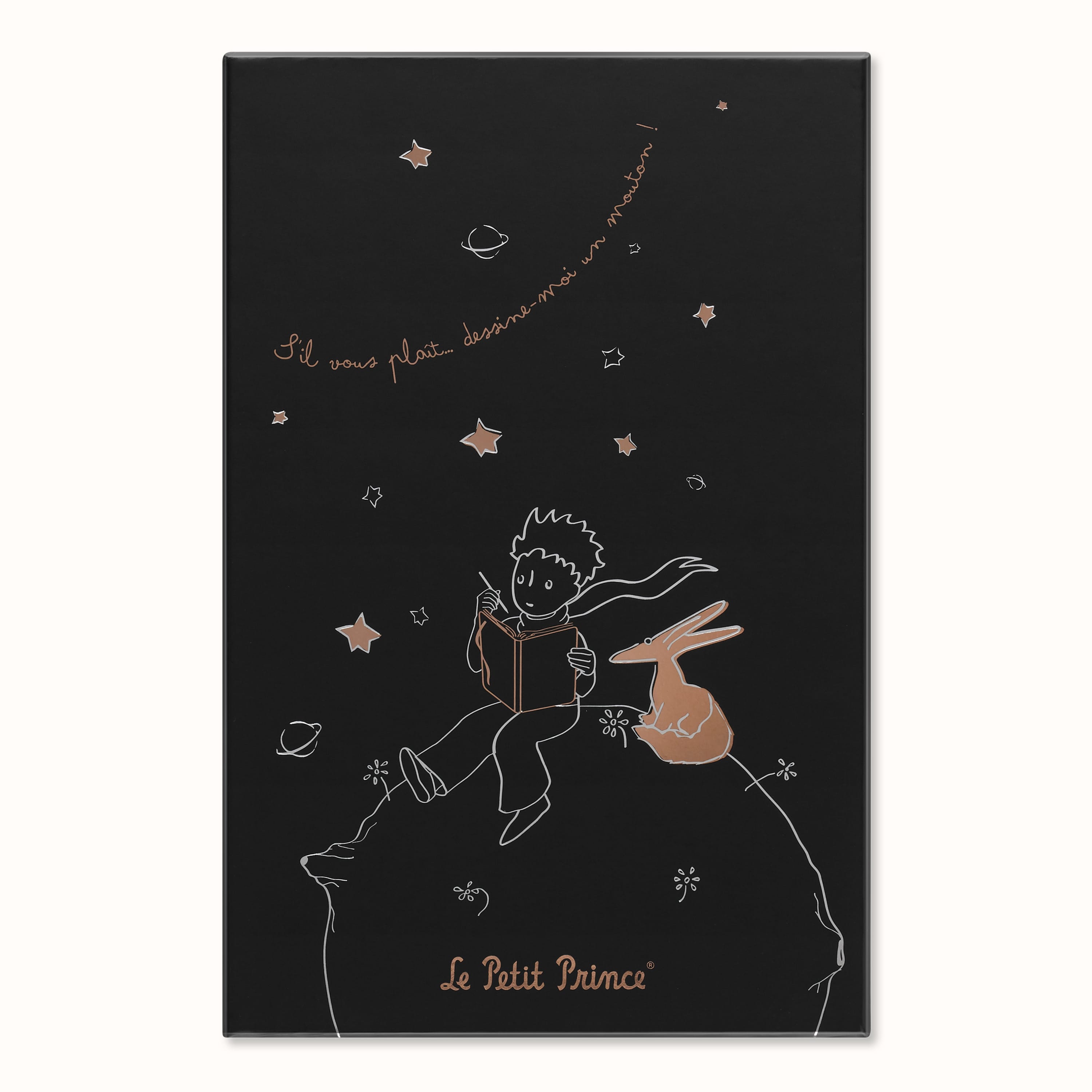Le Petit Prince Limited Edition Notebook Large, Hard Cover, Ruled, with  Gift Box | Moleskine NAM