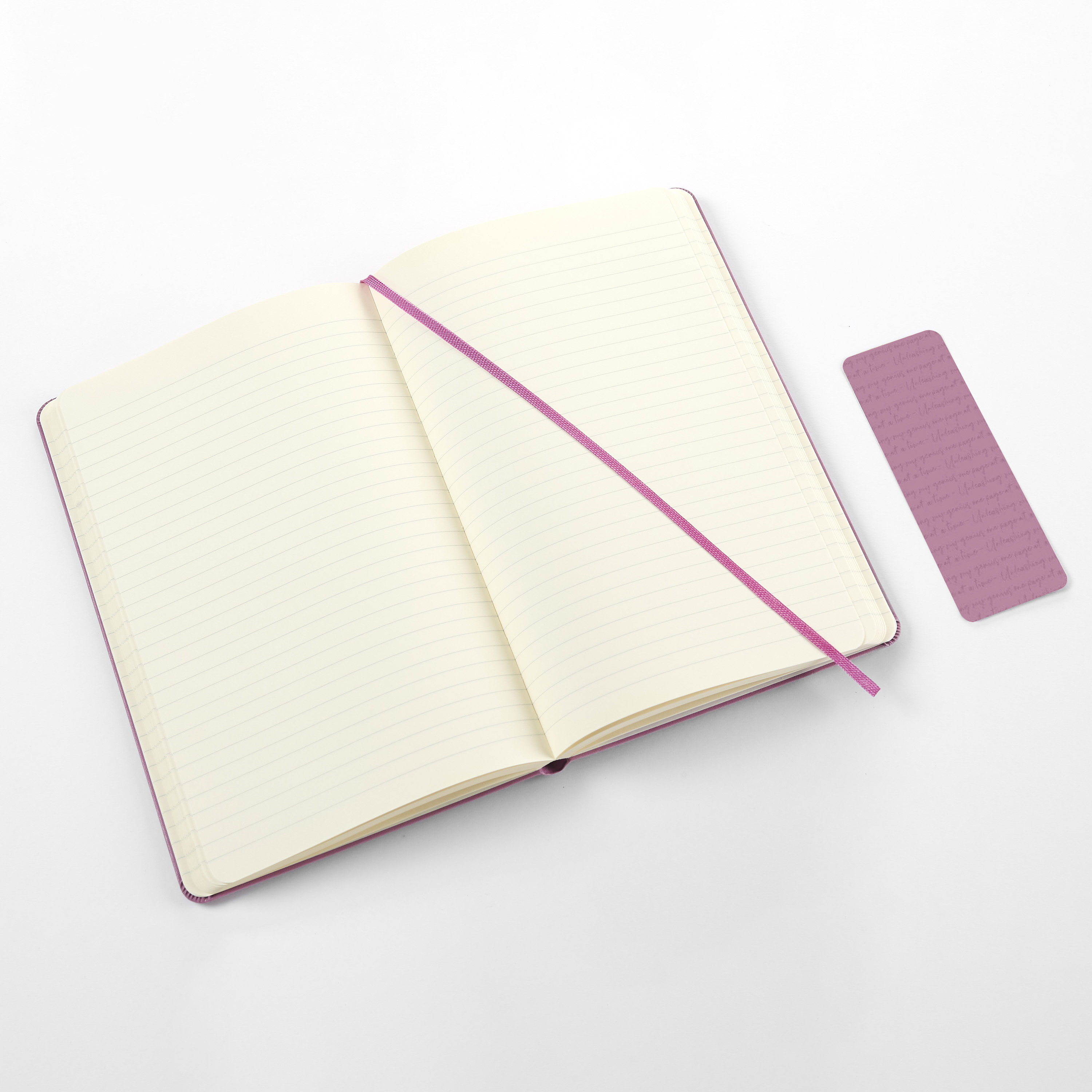 Notebooks with Cover, Color and Size Alternatives | Moleskine