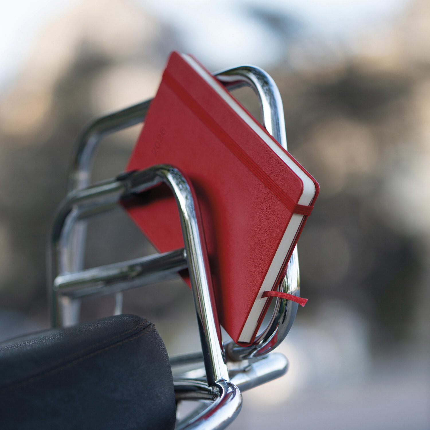 2026 Life Lessons From A Dog Calendar, 12 Month Dog Sayings Desk