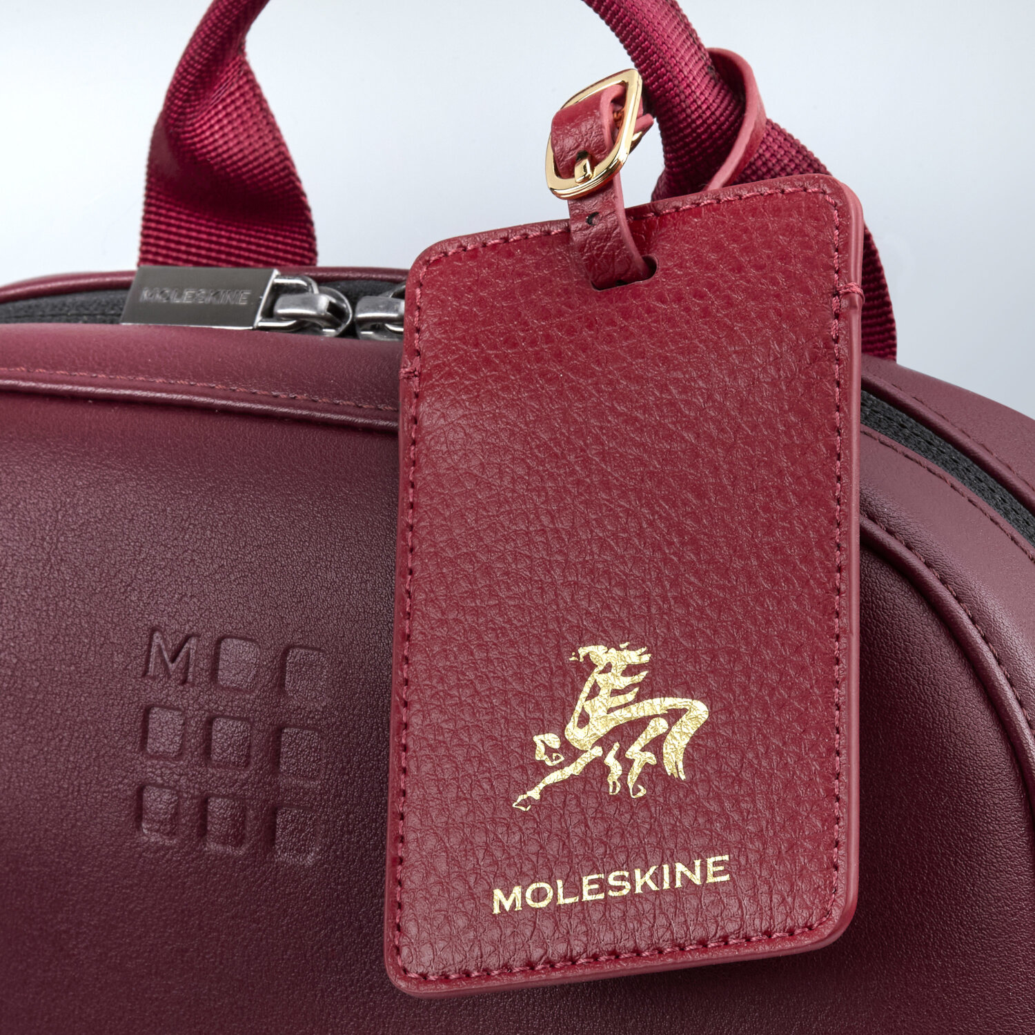 Precious & Ethical, luxury notebooks and planners | Moleskine
