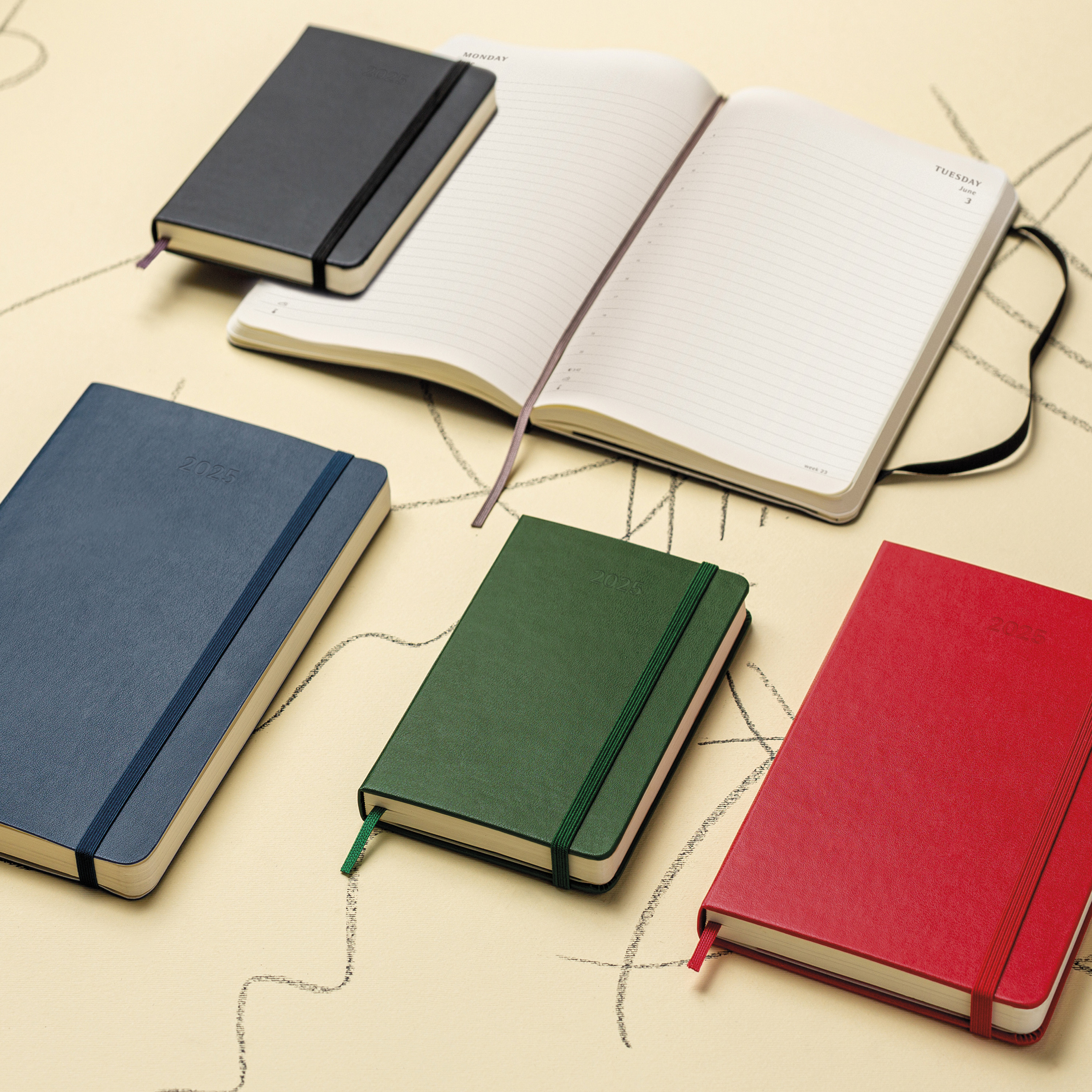 PRO Planner 2025 Large Weekly, hard cover, 12 months