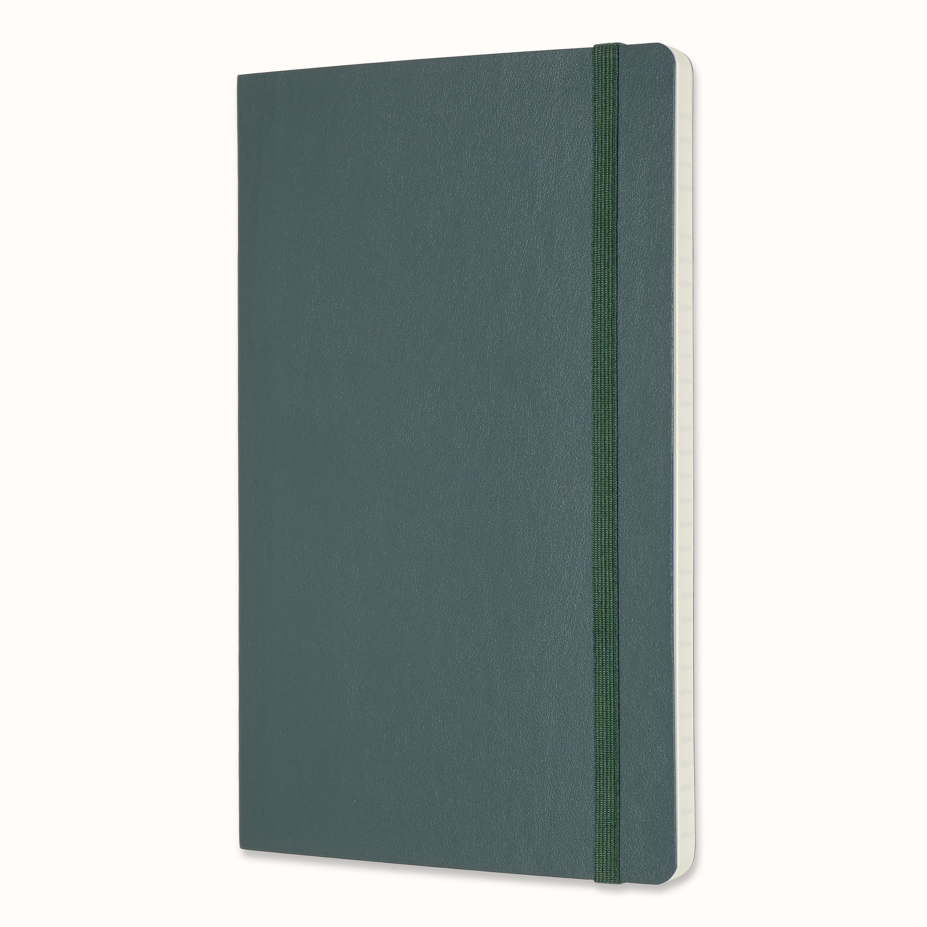 PRO Notebook Forest Green Moleskine