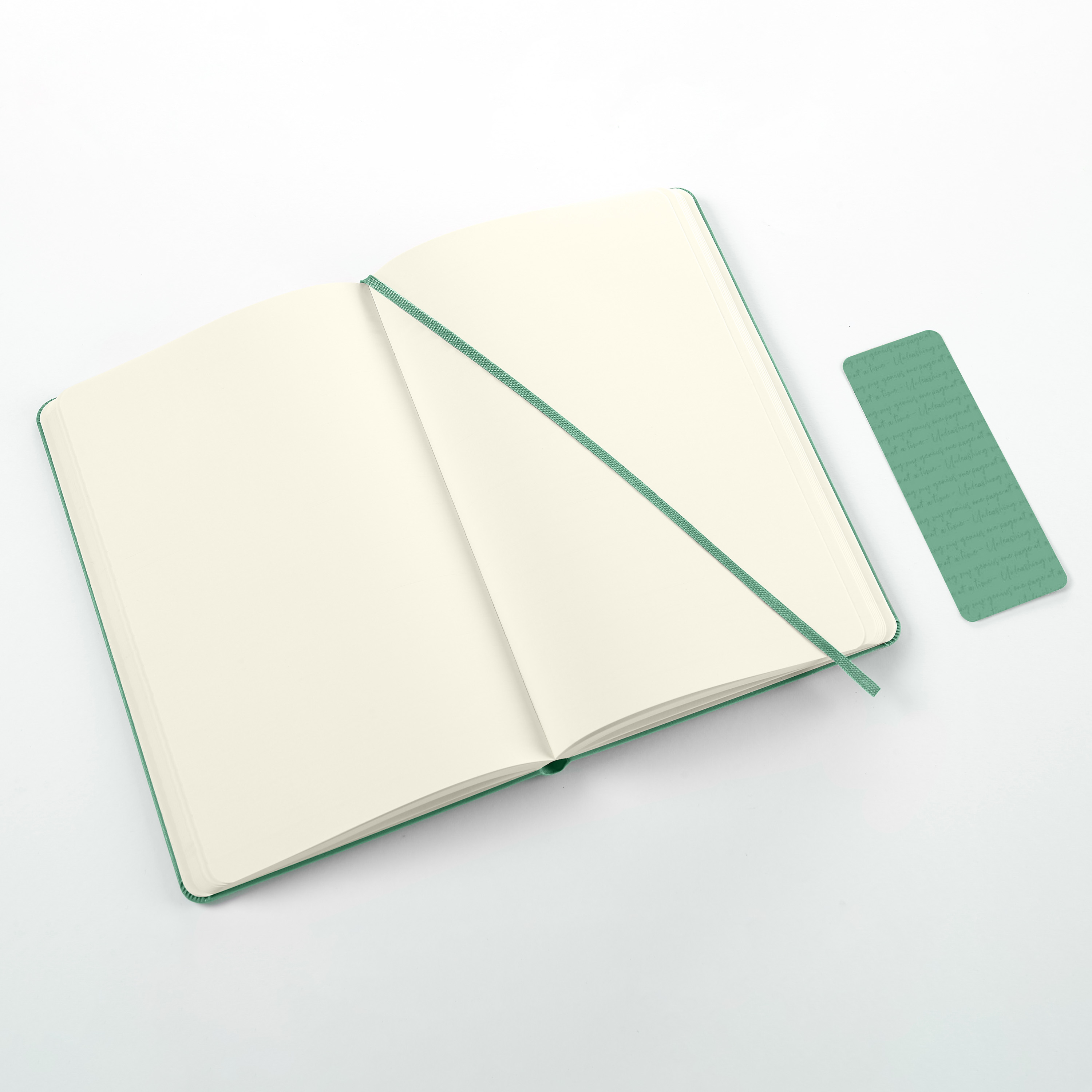 Notebooks with Cover, Color and Size Alternatives | Moleskine